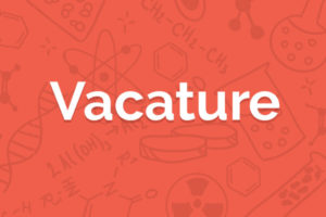 Vacature: Digital Creative Manager (junior/medior projectmanager) - vacature algemeen
